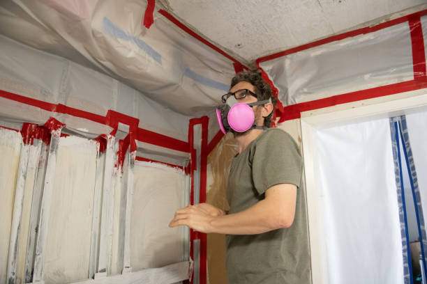 Mold Remediation for Rental Properties in Piperton, TN